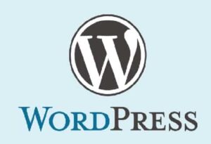 Siteye Yazı Ekleme WordPress